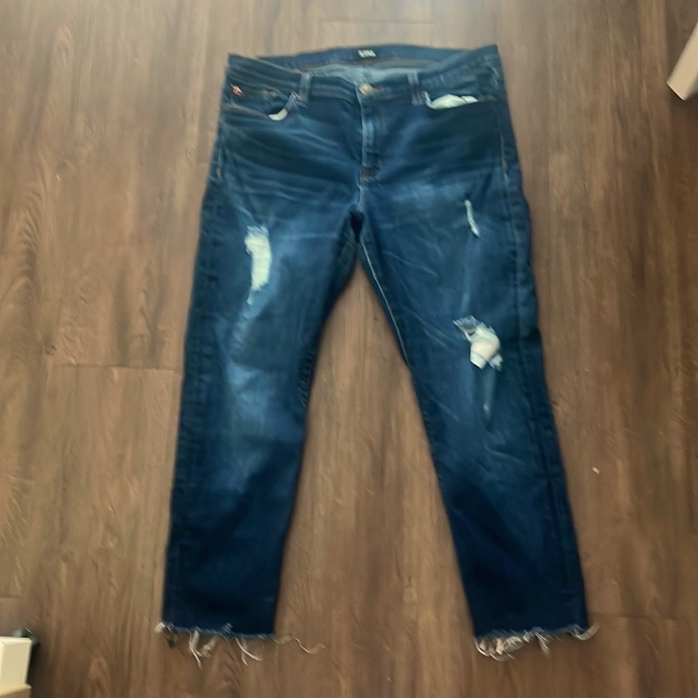Hudson Kristin Crop Distressed Skinny